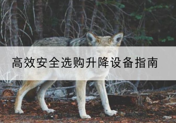 清新升降货梯厂家推荐-*安全选购升降设备指南