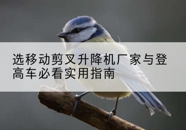 清新电动升降机厂家-选移动剪叉升降机厂家与登高车必看实用指南